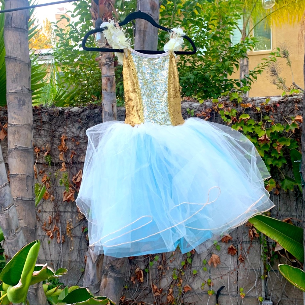 Ballet dance costume size child large